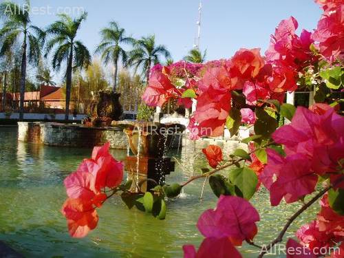 Melia Bali - The Garden Villas 40